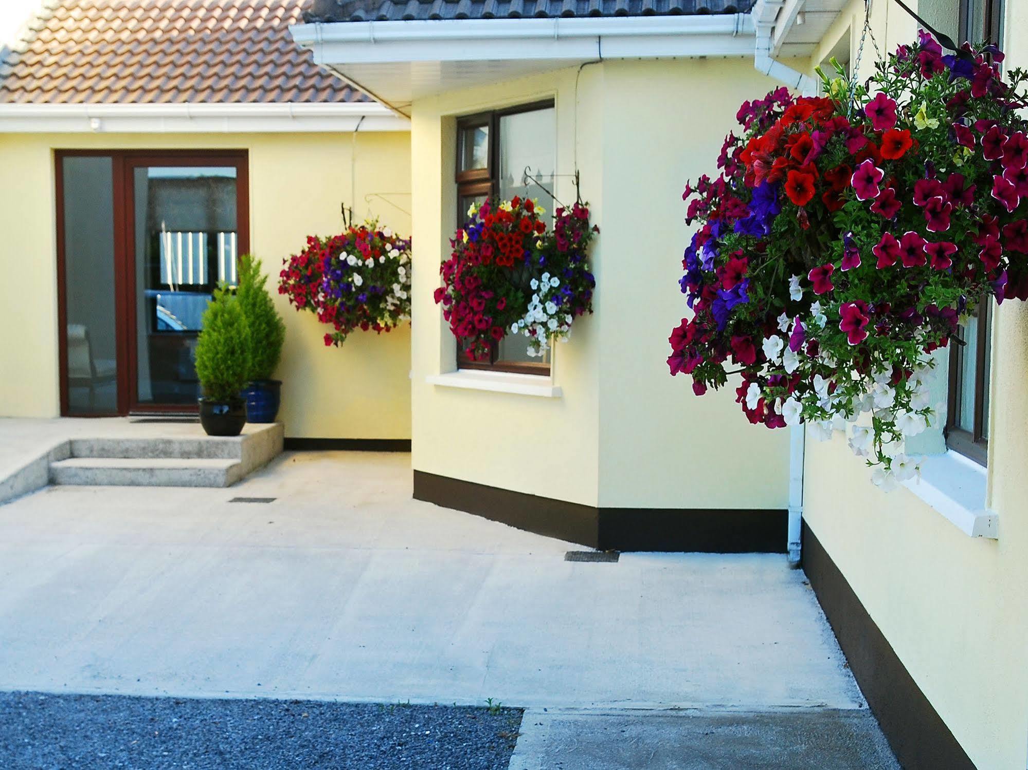 Lusk Hillview Self Catering 아파트 외부 사진